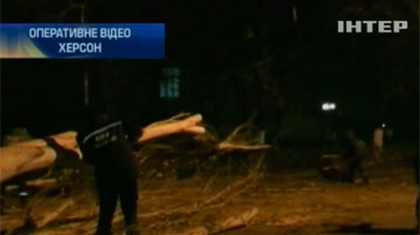 В Херсоне ветер повалил деревья на дорогу