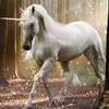 Американцам предложили купить "чистокровных" единорогов
