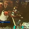 В Майами мужчина попытался расплатиться за пиво аллигатором