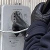 Милиция задержала жителя Тернопольщины, "минировавшего" Майдан