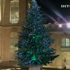 В Елисейском дворце установили рождественскую елку