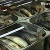 В украинских супермаркетах торгуют зараженной глистами рыбой