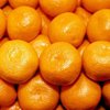 На Харьковщине в колонию пришла посылка с наколотыми мандаринами