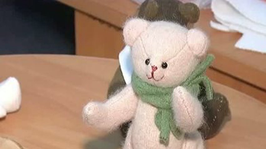 Жителей Кировограда учили делать мягких Винни-Пухов
