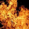 В Черниговской области в пожаре погибли двое детей