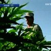 Аргентинская полиция задержала грузовик с тонной марихуаны