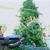 В Судаке кулинары испекли пирожковую елку