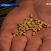 Уходящий год был богат событиями