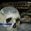 В уходящем году мир постоянно говорил о войнах