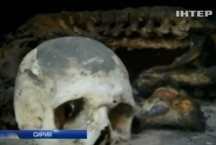 В уходящем году мир постоянно говорил о войнах