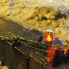 Теракты в Волгограде: Количество жертв возросло до 34 человек