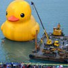 На Тайване взорвалась гигантская надувная утка