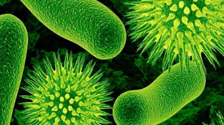 Ученые узнали, что заставляет бактерии впадать в 