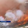 В Австралии бушуют лесные пожары