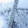 Из-за аномальных морозов в США отменены три тысячи рейсов