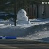 Американец создал снежную статую в форме почки