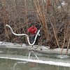В США почти 800 человек пострадали из-за утечки химикатов