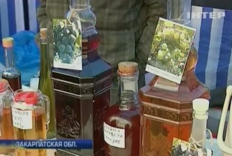На Закарпатье проходит фестиваль виноделов