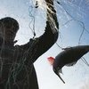 На Харьковщине задержан браконьер, выловивший более 100 тысяч рыб