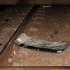 На Львовщине автомобиль попал под поезд
