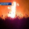 На Херсонщине горел камыш