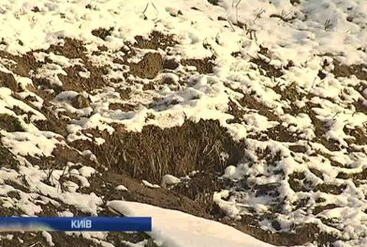 Киевские экстремалы расстроены бесснежной зимой