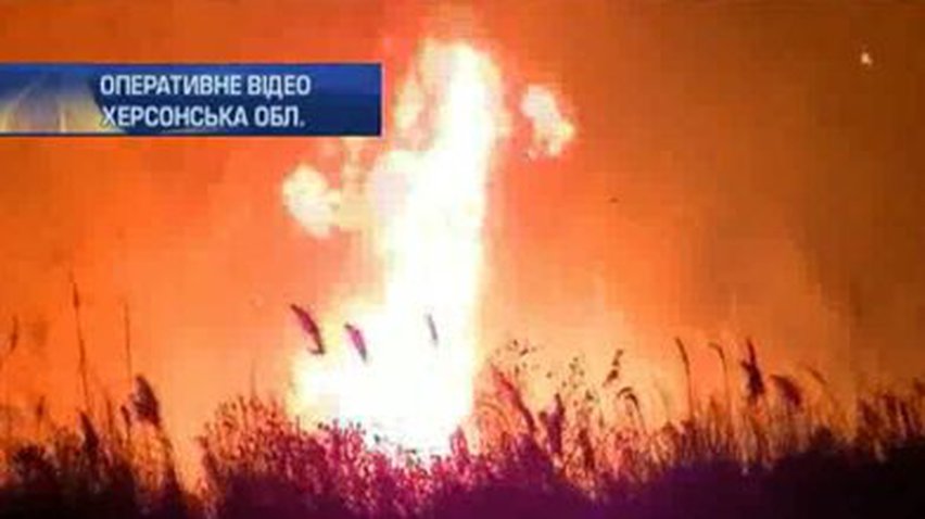 На Херсонщине горел камыш