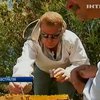 Австралийские ученые будут отслеживать передвижение пчел с помощью датчиков
