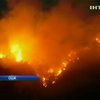Сильные лесные пожары охватили Калифорнию