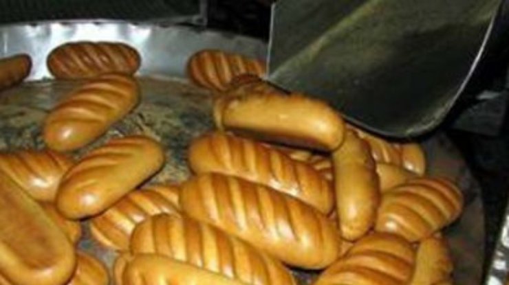 В Украине значительно сократилось производство хлеба, - Госстат