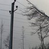 Из-за непогоды на Львовщине обесточены 29 населенных пунктов