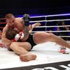 Сосновский нокаутировал Емельяненко