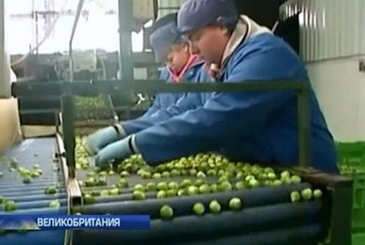 Британские прогнозы о массовой миграции румын в Лондон не подтвердились