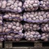Беларусь временно ограничила ввоз картофеля из ЕС