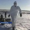 На Луганщине уничтожают домашних свиней из-за вспышки африканской чумы