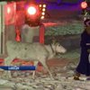 Шведский город Умео официально стал культурным центром Европы