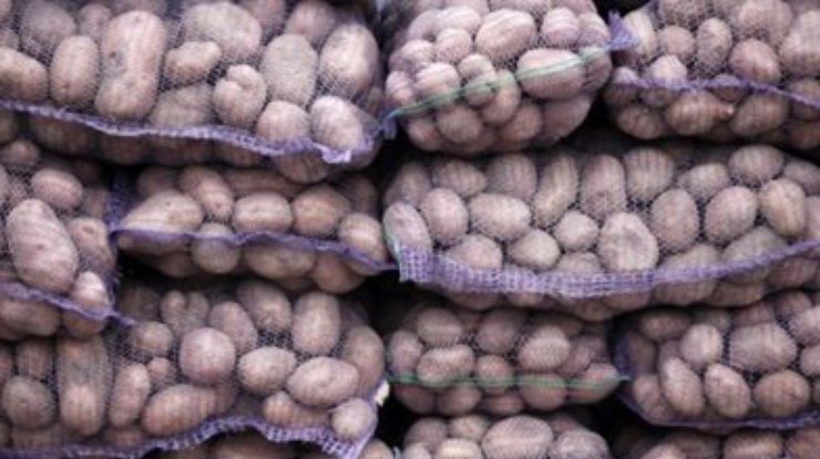Беларусь временно ограничила ввоз картофеля из ЕС