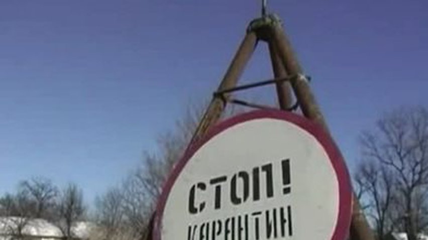 На Луганщине ветслужба уничтожает свиней из-за вспышки африканской чумы
