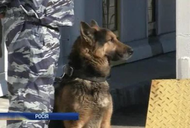 В Сочи усилили меры безопасности