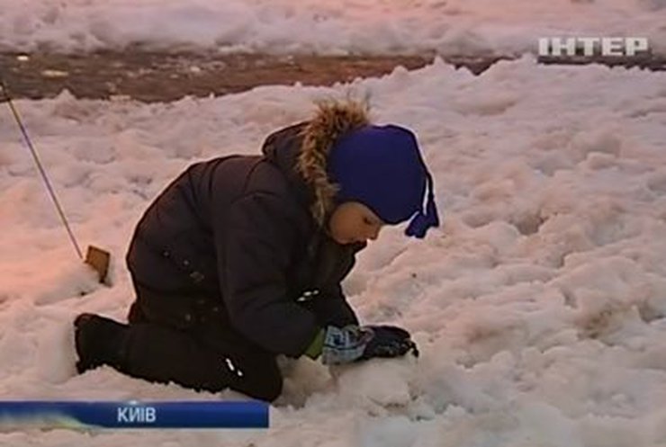 В Киеве открылась выставка ледовых скульптур