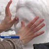 В Виннице для детей провели конкурс снежных скульптур