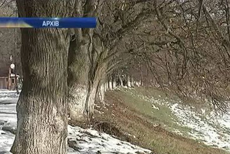 В ближайшие дни в Украине будет тепло до +15