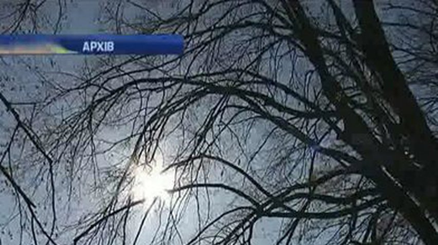 Синоптики обещают аномальное тепло в ближайшие 10 дней