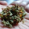МОК считает марихуану стимулирующим средством для спортсменов