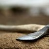 Житель Херсонщины, разозлившись, рубанул топором 7-летнюю сестру