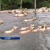 Боливия страдает от мощных наводнений