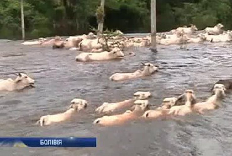 Боливия страдает от мощных наводнений