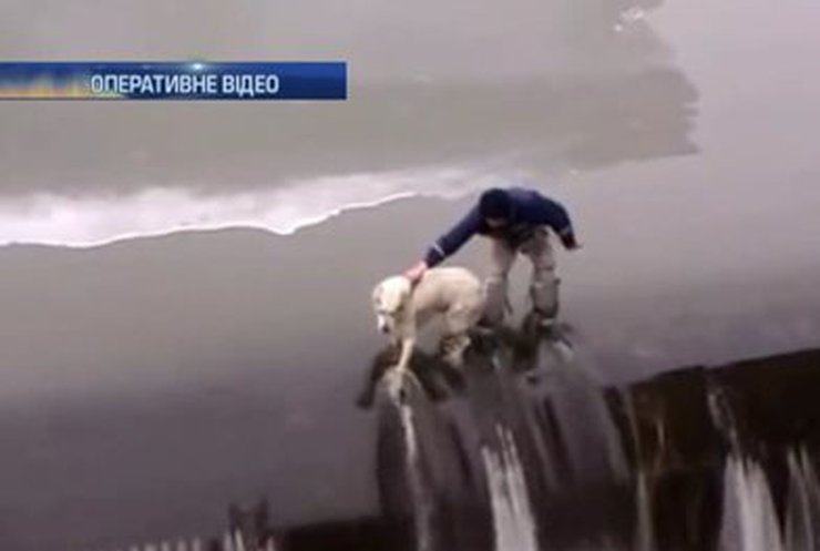 Харьковские спасатели вытащили из ледяной воды собаку