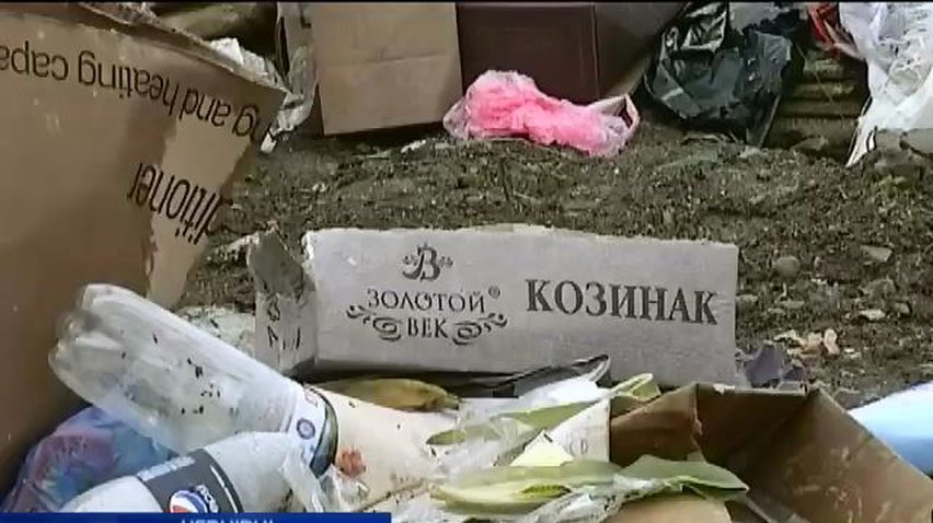 На Буковине мусоросвалка угрожает здоровью селян