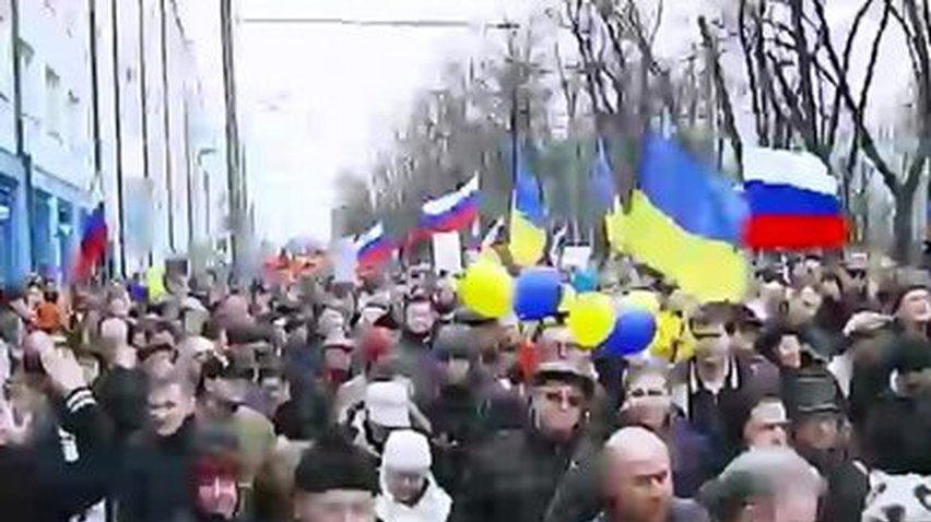 Москвичи провели митинг в поддержку Украины